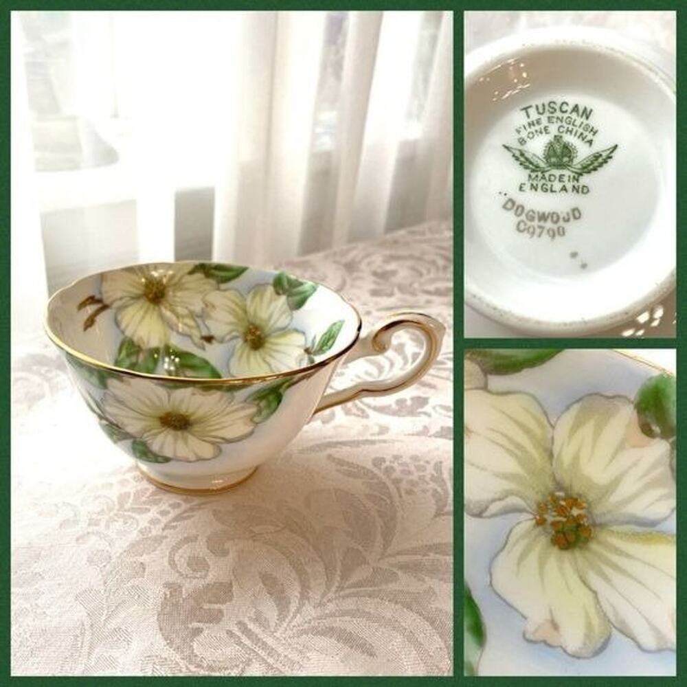 Antique Tuscan fine English bone China cup dogwood pattern